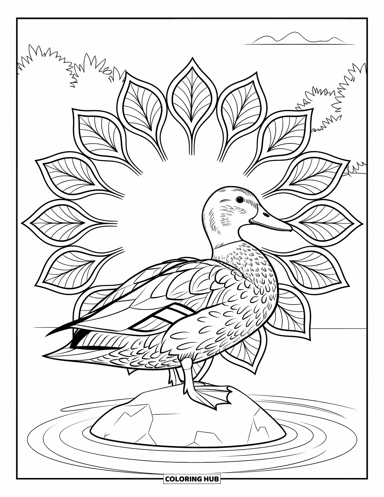 Mallard Duck Coloring Page for Adults: Mallard on a rock with a mandala of ripples and leaves in the background