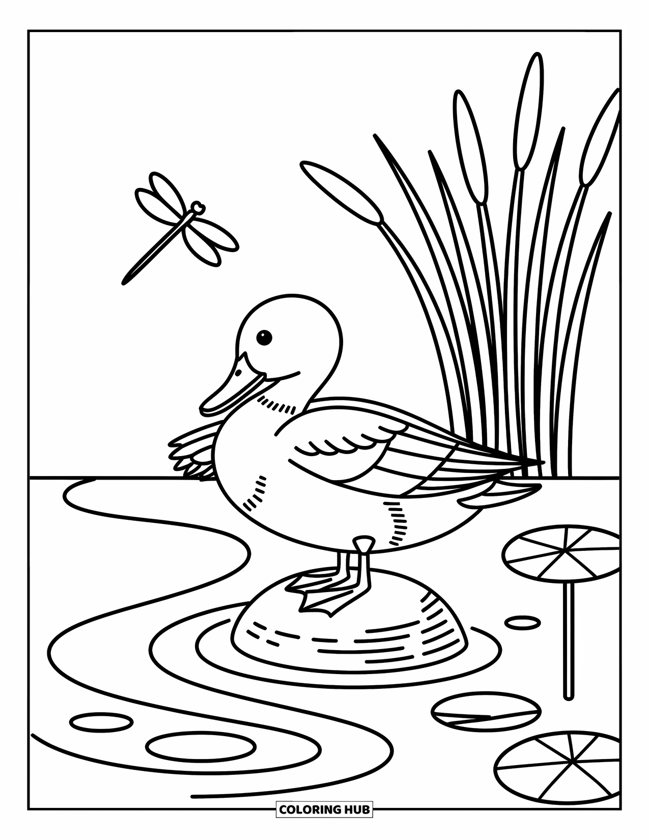 Mallard Duck Coloring Page for Adults: Mallard preening on a rock with pebbles, reeds, and a dragonfly overhead