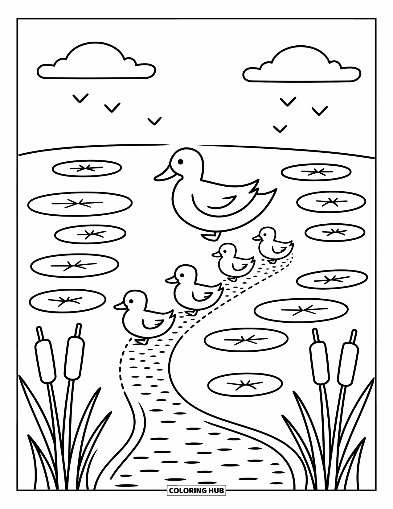 Mallard Duck Coloring Page for Adults: Parent mallard leading three ducklings across lily pads with cattails nearby