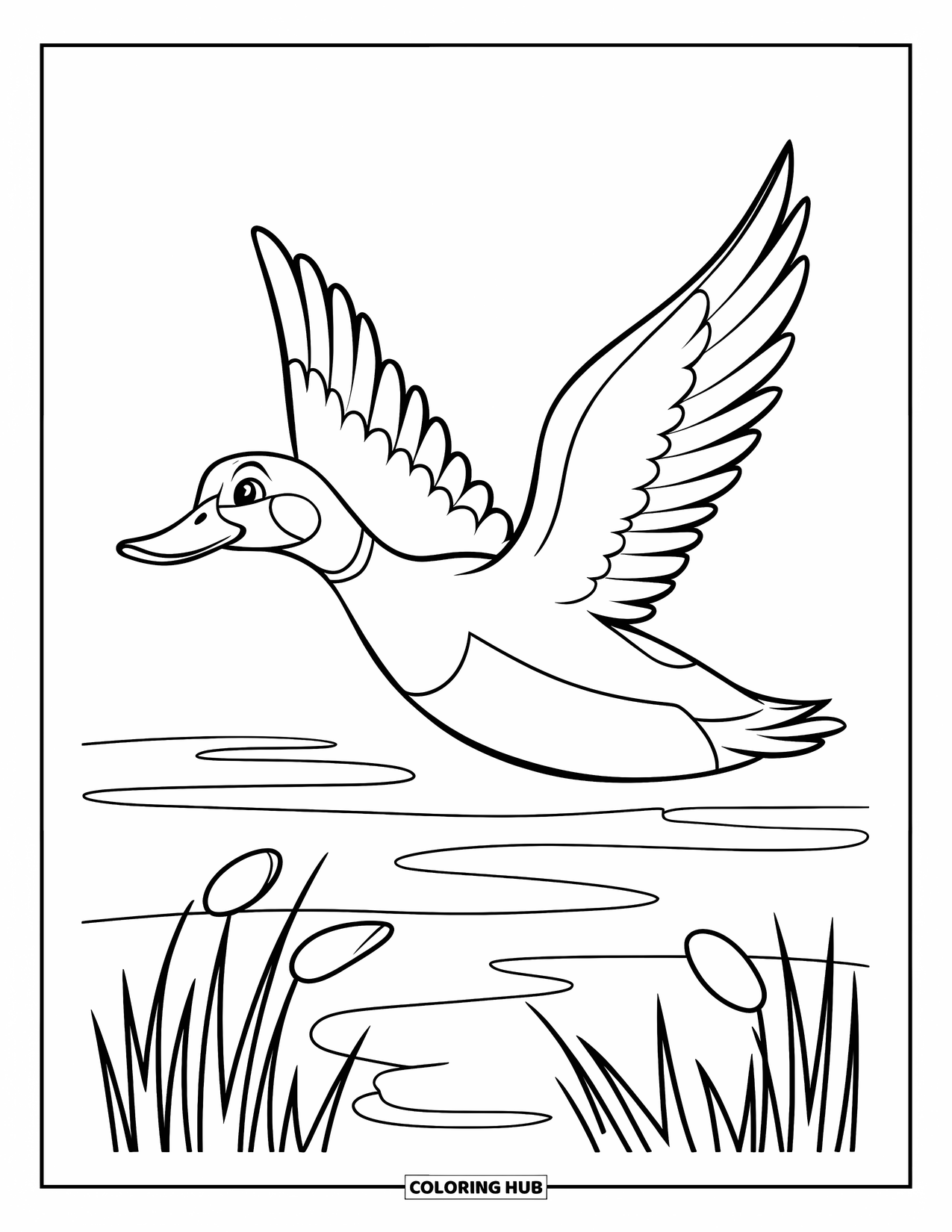 Mallard Duck Coloring Page for Kids: Mallard duck flying over marshlands against a white sky