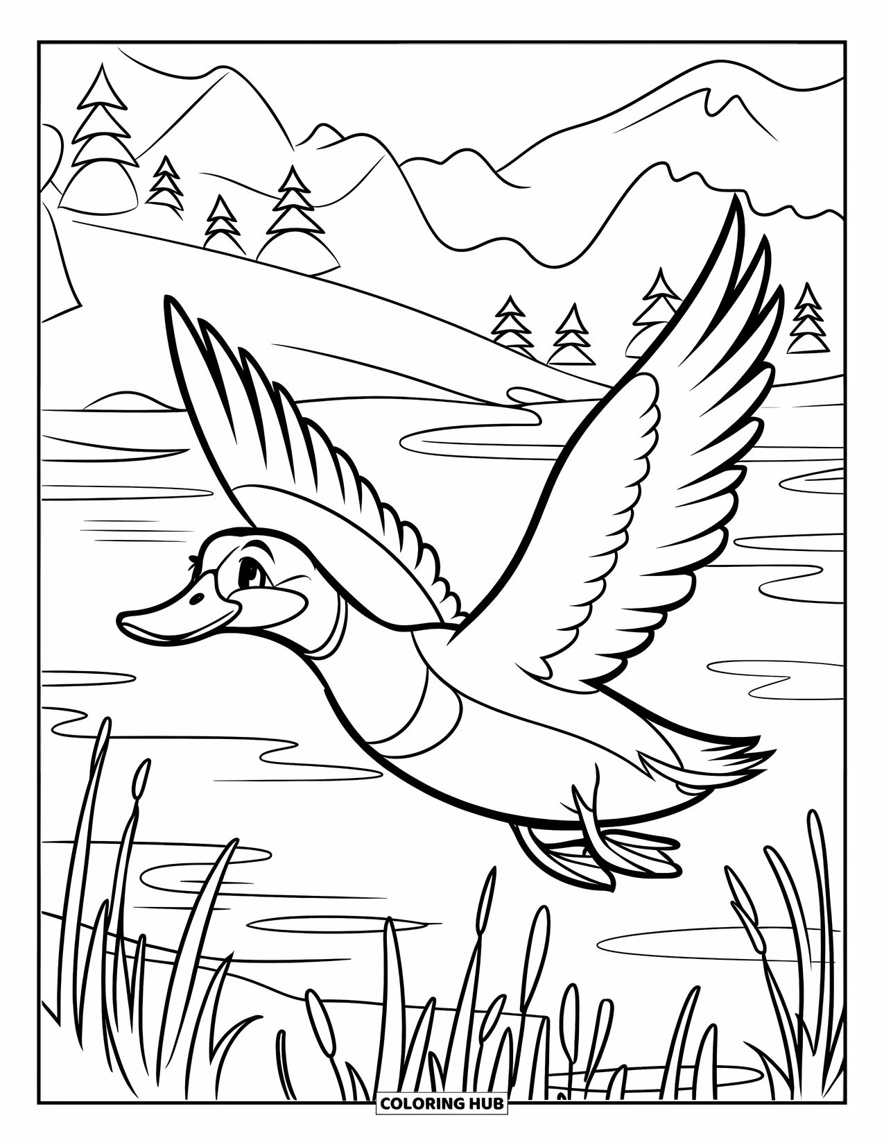 Mallard Duck Coloring Page for Kids: Mallard duck flying over marshlands with mountains and trees