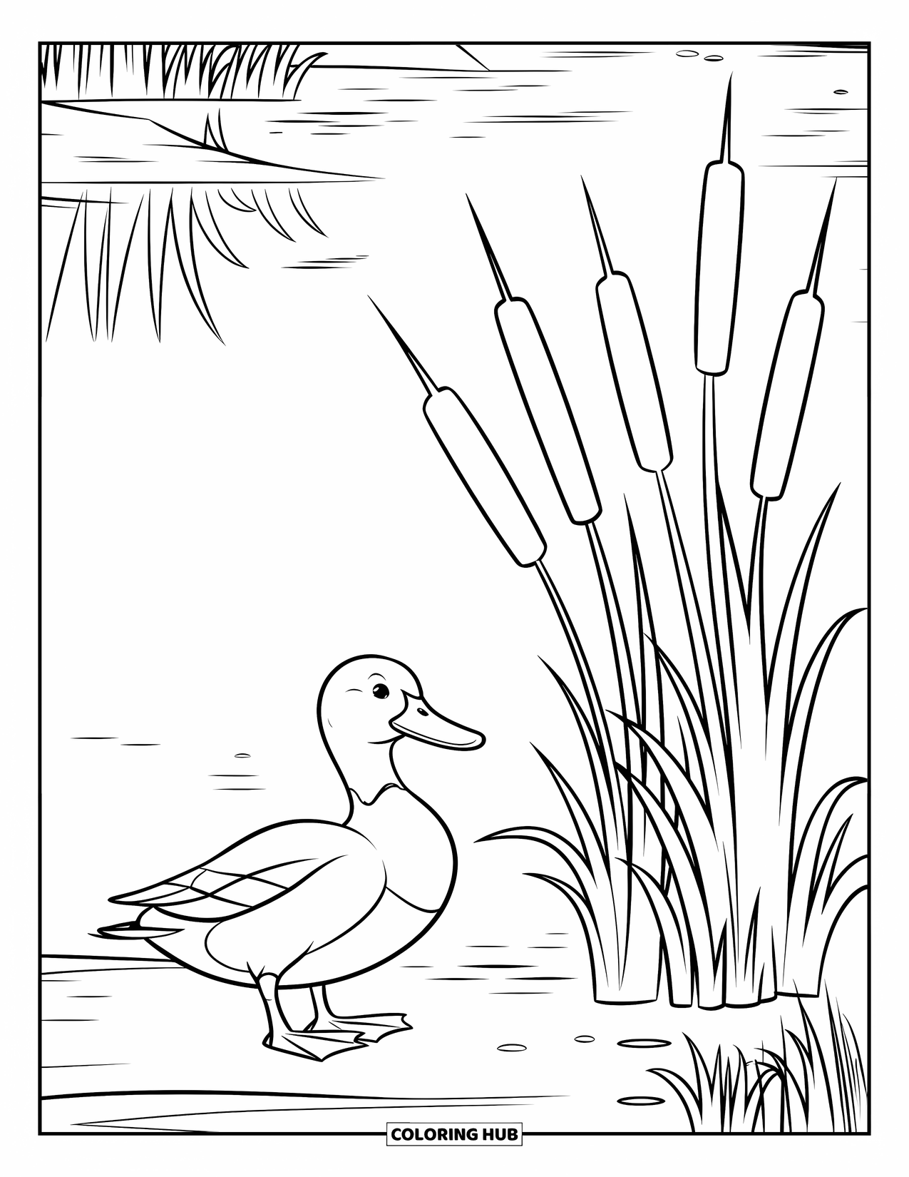 Mallard Duck Coloring Page for Kids: Mallard duck on shore with cattails by a calm lake