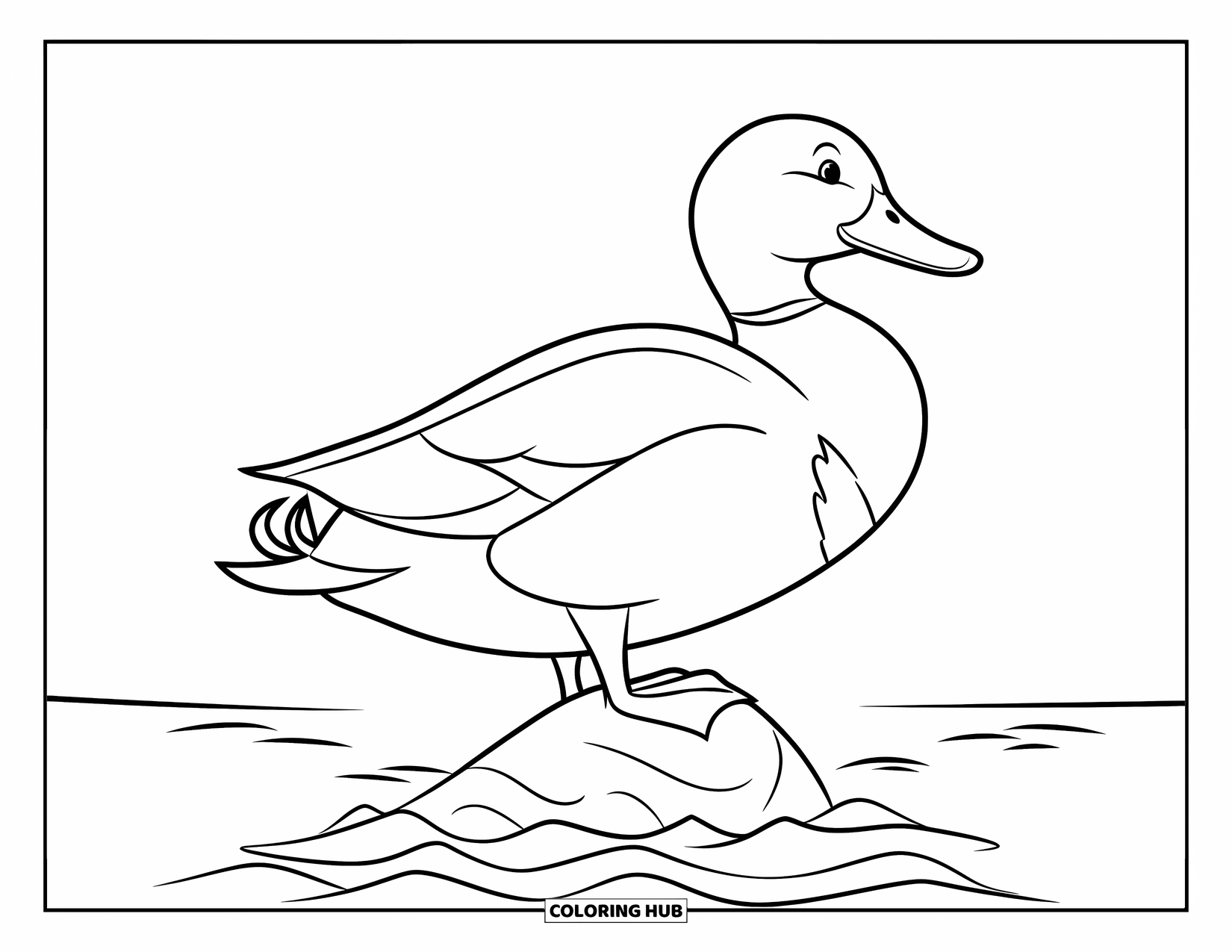 Mallard Duck Coloring Page for Kids: Mallard duck silhouette standing on a rock in water