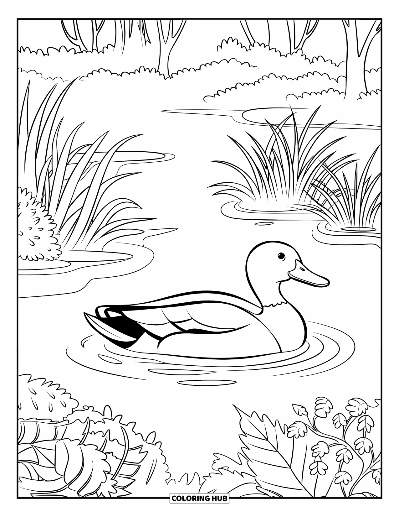 Mallard Duck Coloring Page for Kids: Mallard duck swimming in a pond surrounded by tall plants