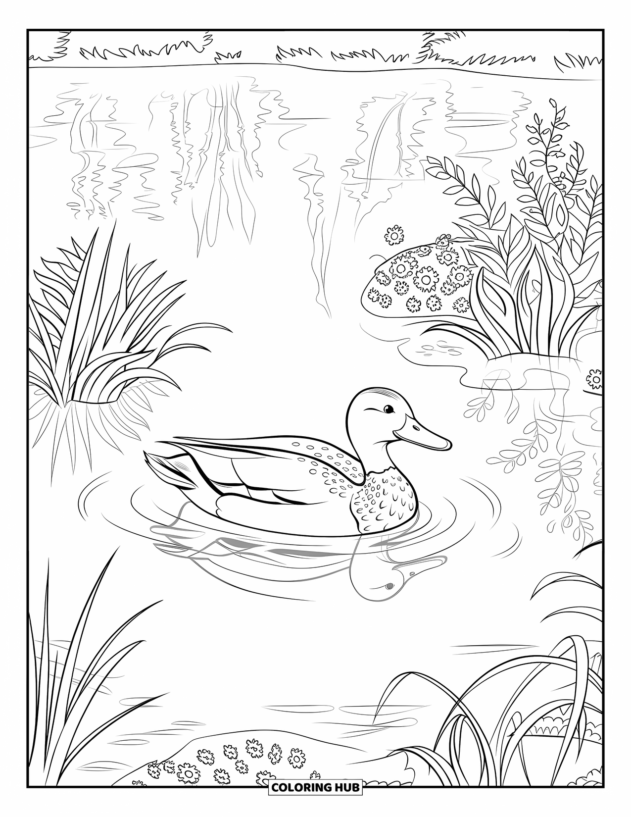 Mallard Duck Coloring Page for Kids: Mallard duck swimming in a pond with ripples and trees nearby