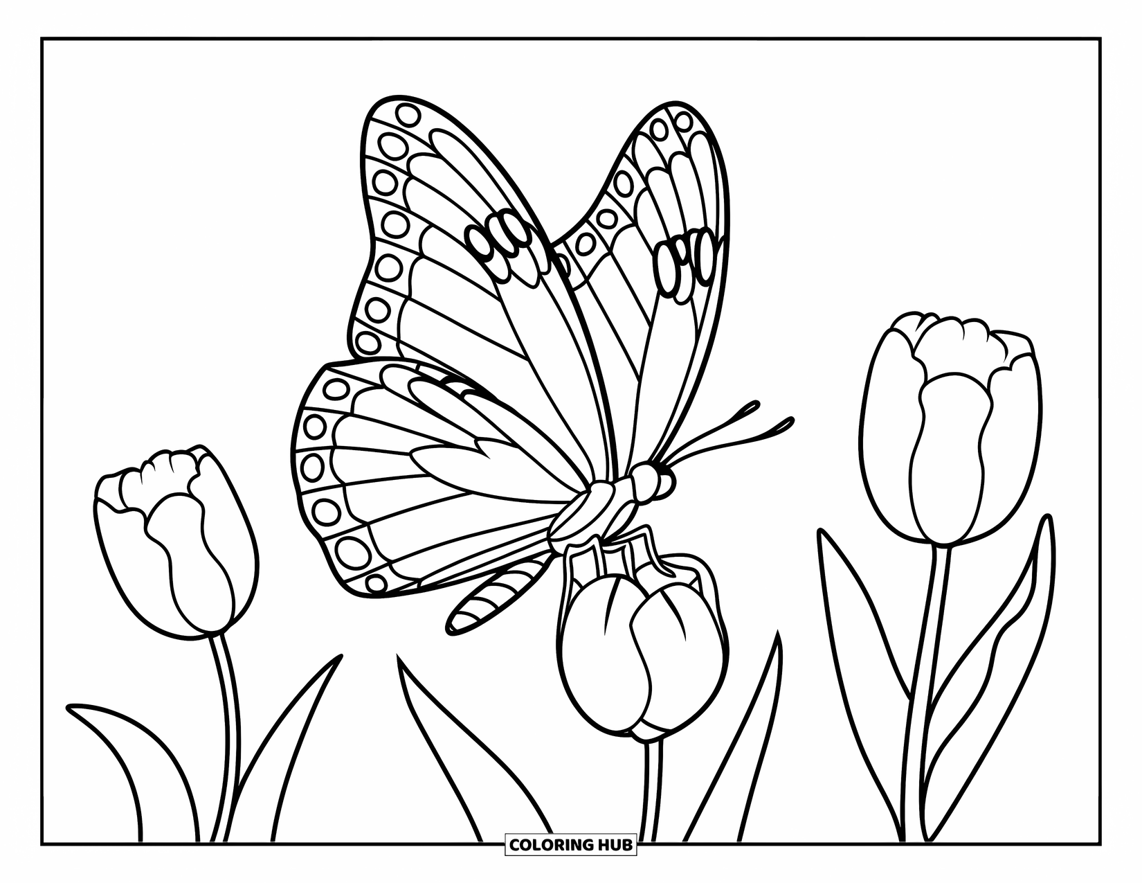 March Coloring Page for Kids: Butterfly with big wings flutters near three bold tulips
