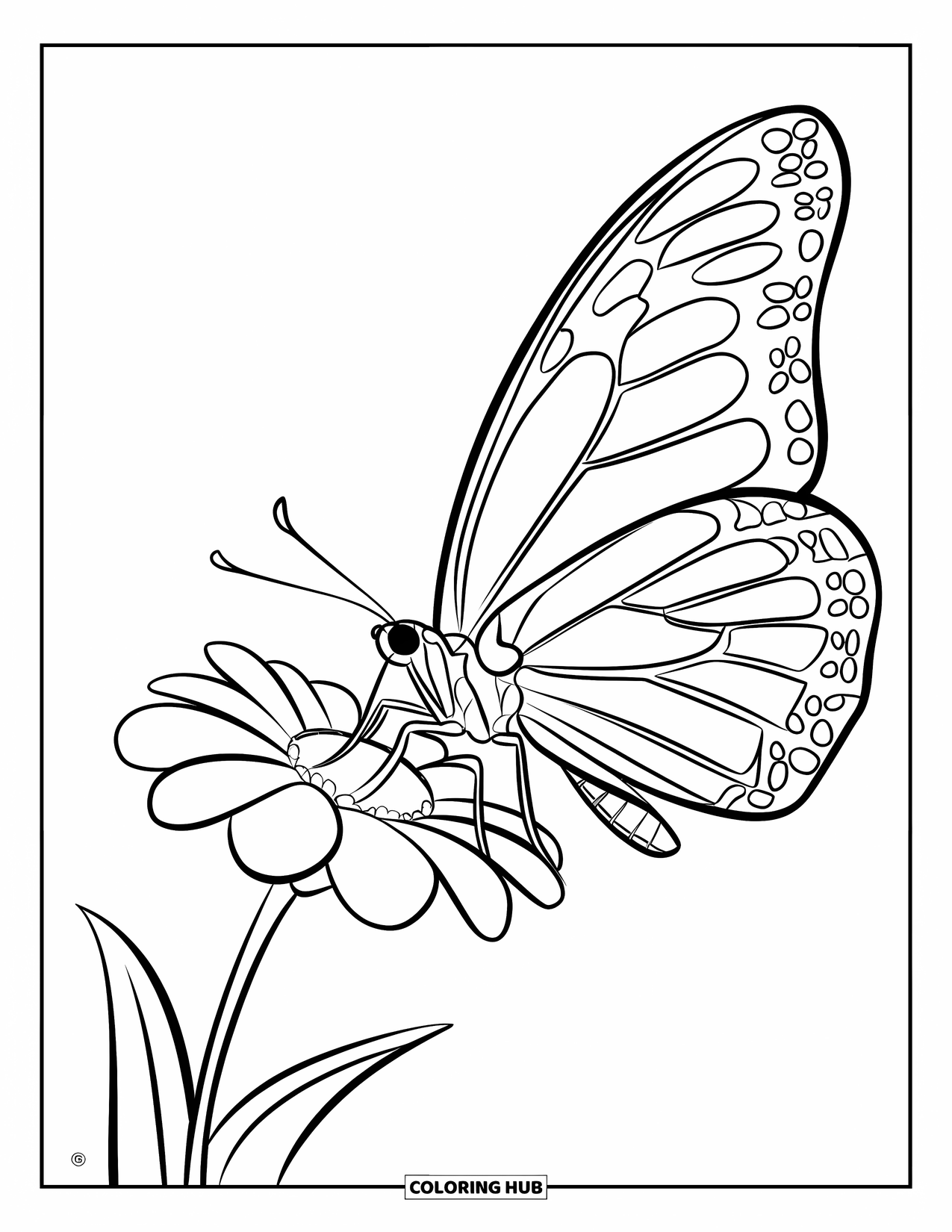 May Coloring Page for Kids: A butterfly flutters above a single flower with bold outlines