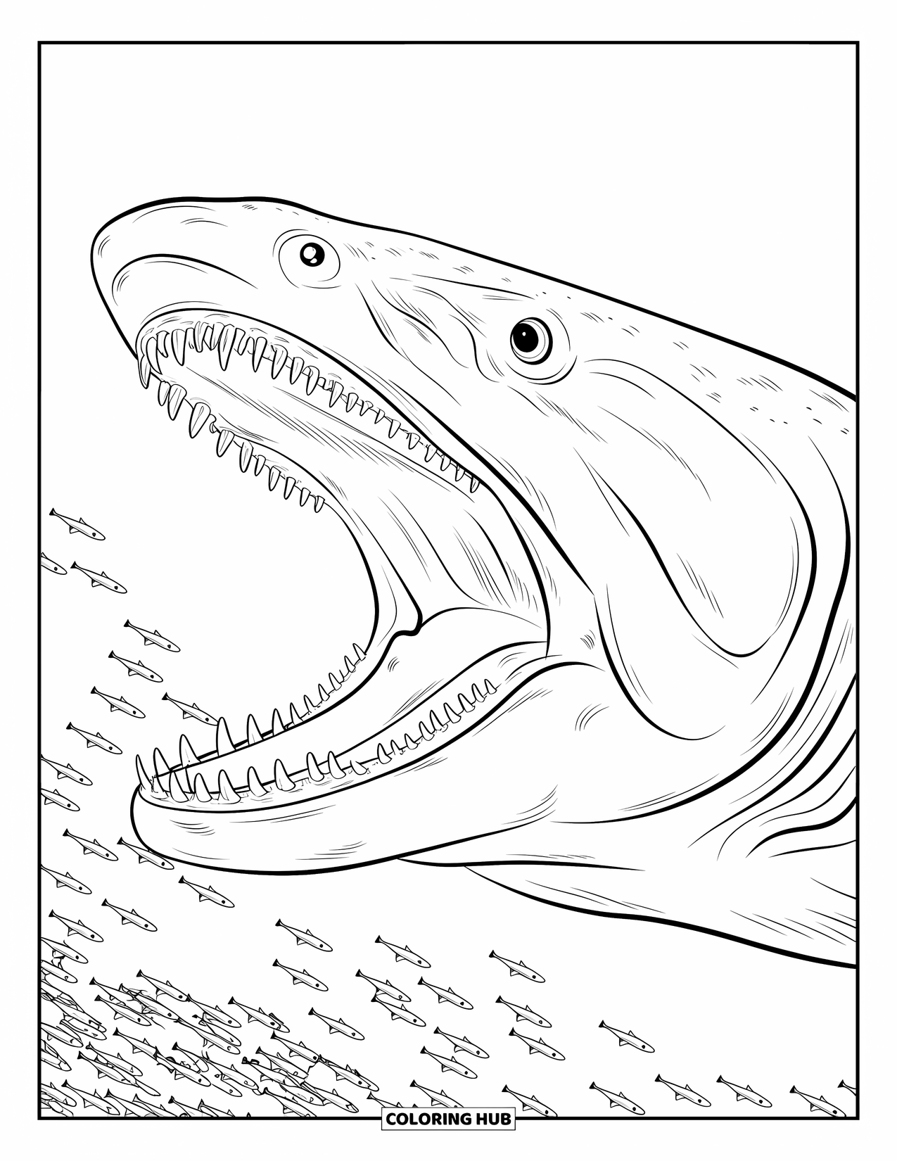 Megalodon Shark Coloring Page for Kids: A sharp-toothed megalodon swims past a school of smaller fish
