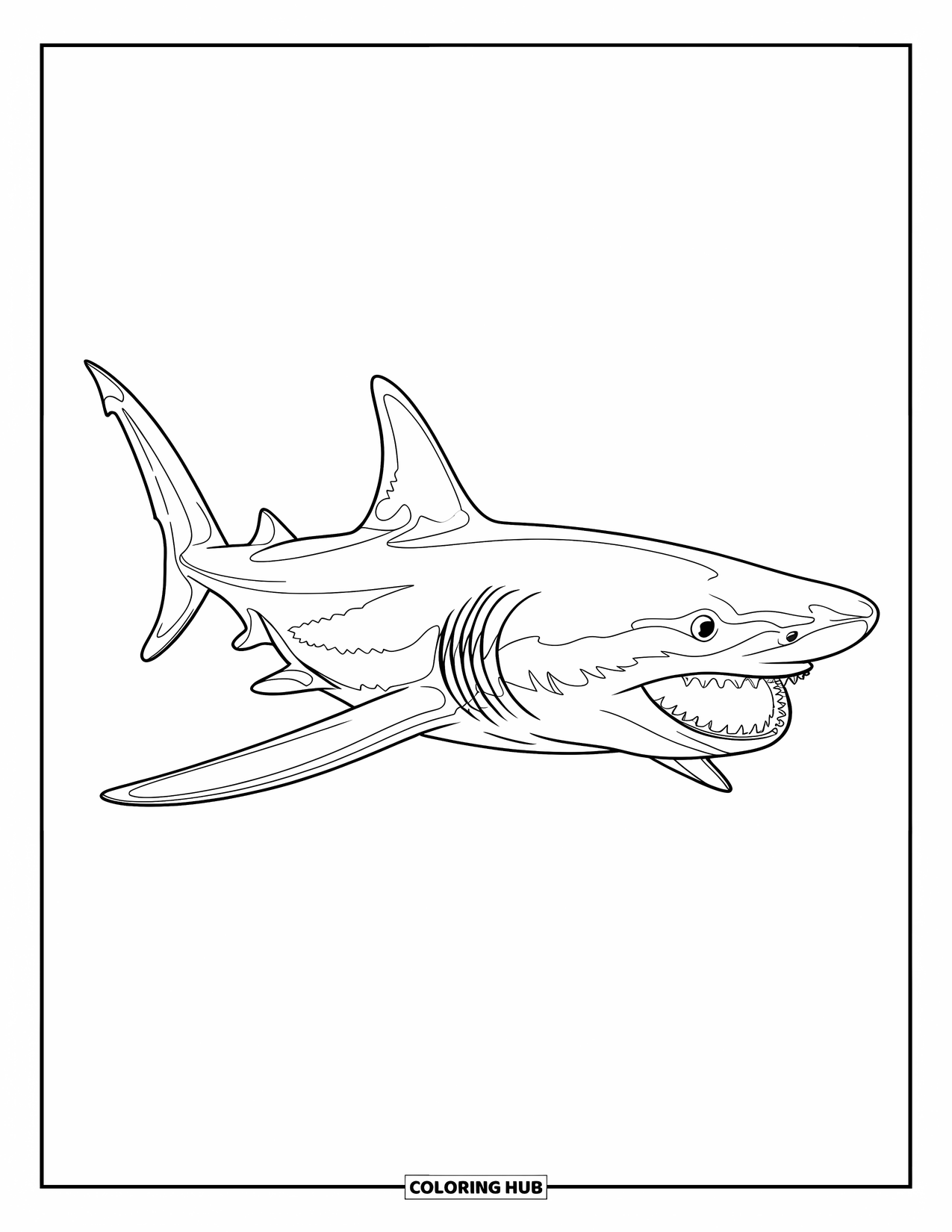 Megalodon Shark Coloring Page for Kids: A side-view shark with open jaws swims calmly through still water