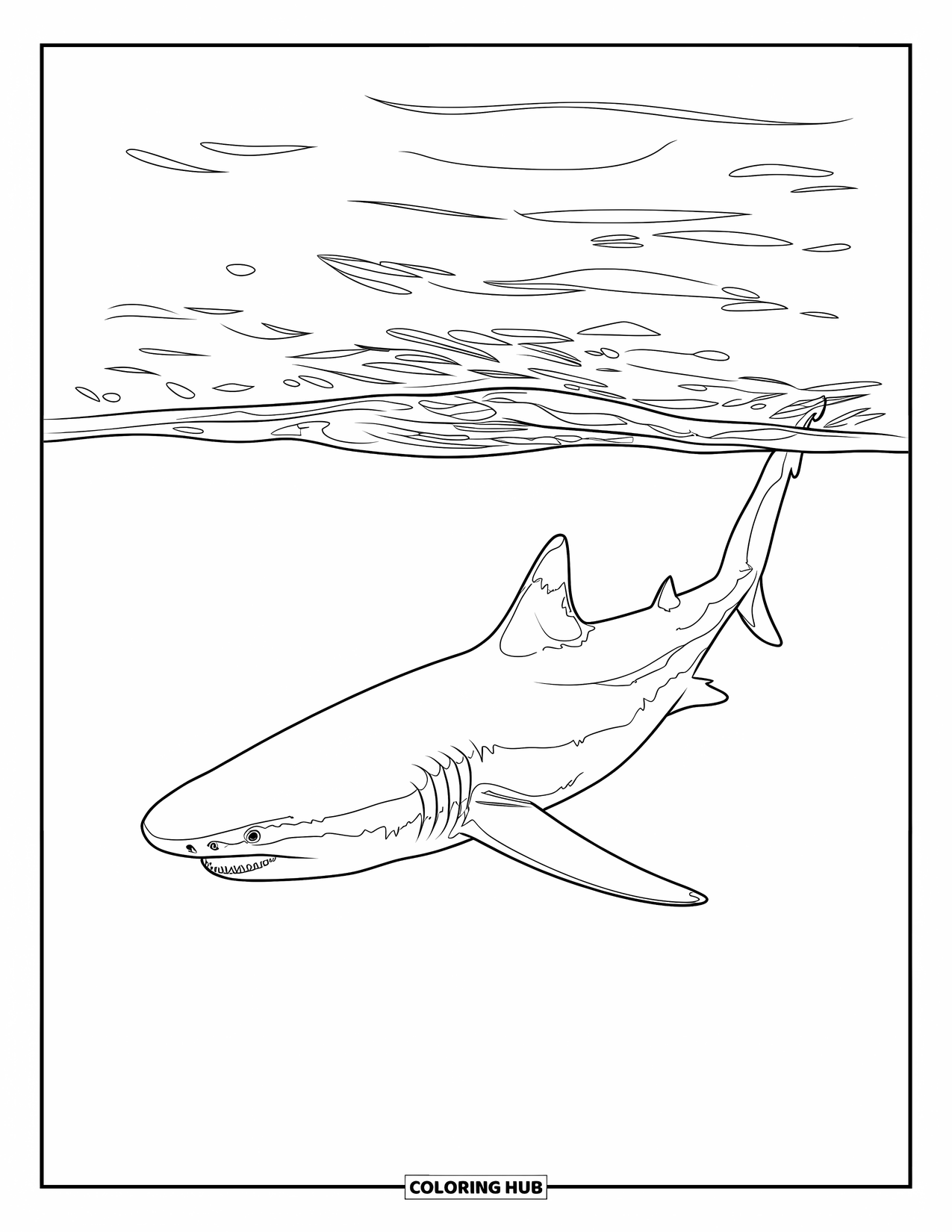 Megalodon Shark Coloring Page for Kids: The shark glides through a quiet ocean, fin near the surface