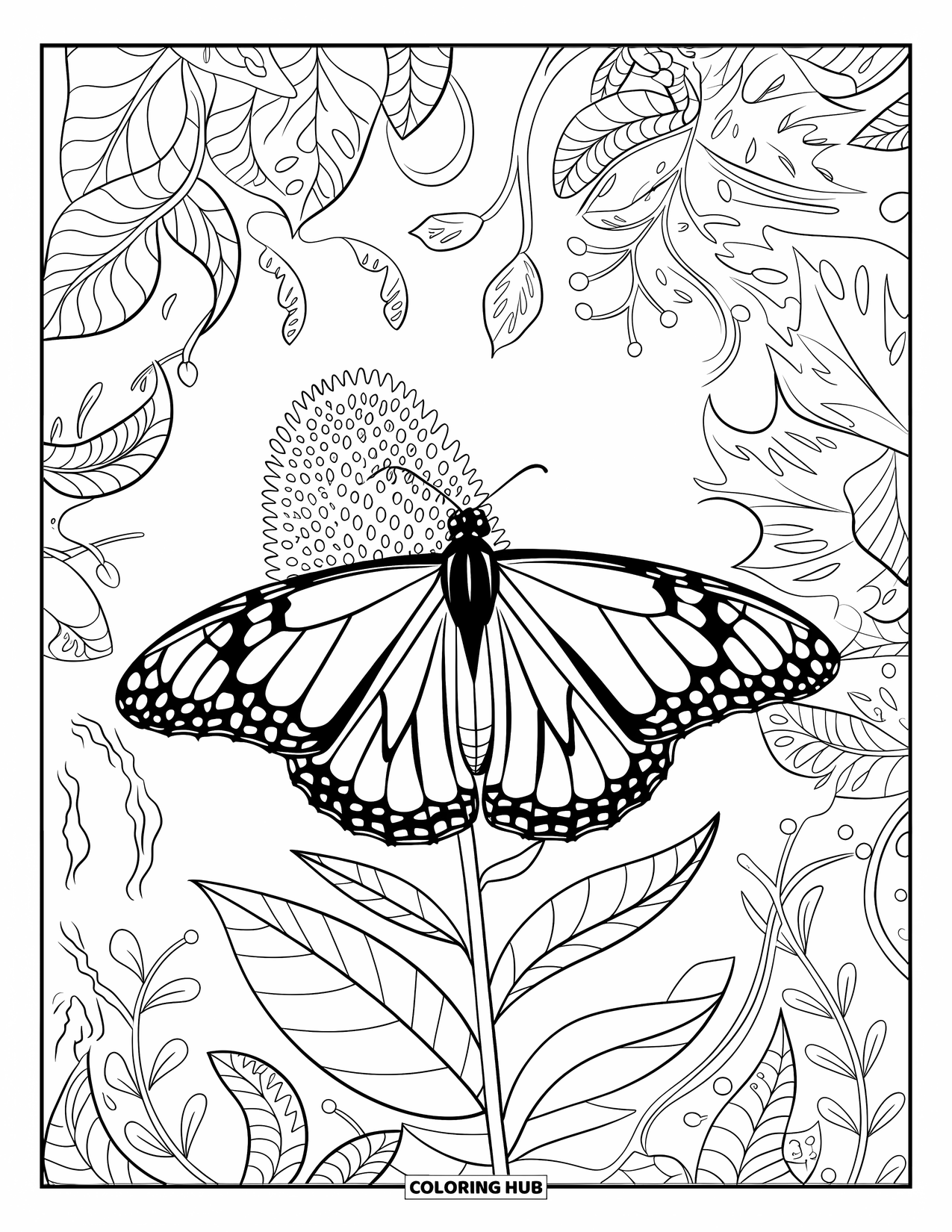 Monarch Butterfly Coloring Page for Adults: A butterfly lands on a milkweed surrounded by leafy garden vines