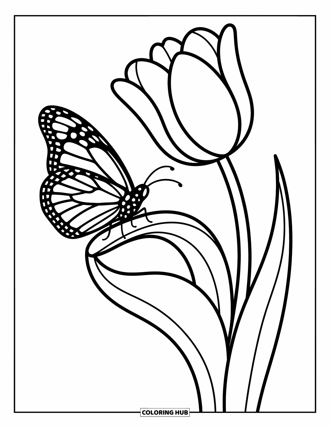 Monarch Butterfly Coloring Page for Adults: A butterfly rests gently on a curled tulip petal in a cozy flower scene