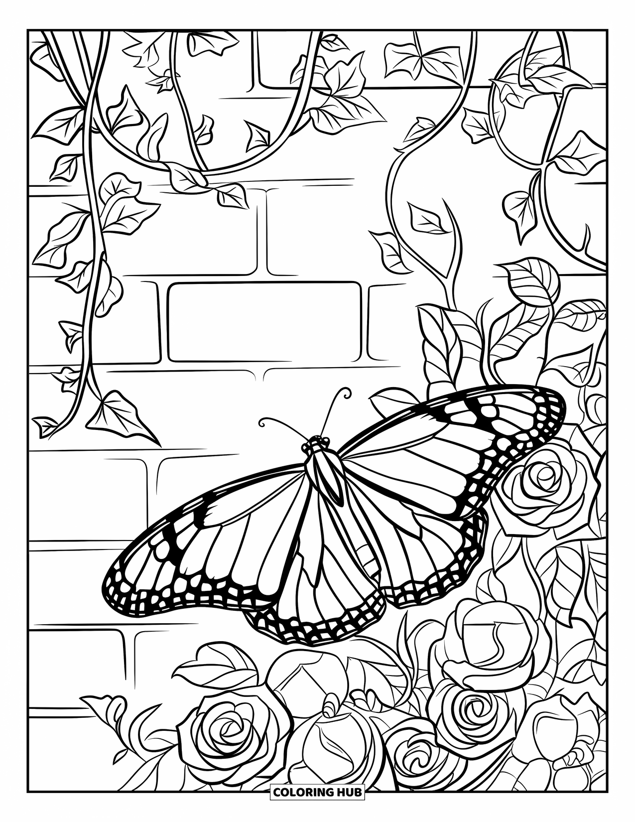 75+ Monarch Butterfly Coloring Pages for Kids & Adults (Free Printable ...