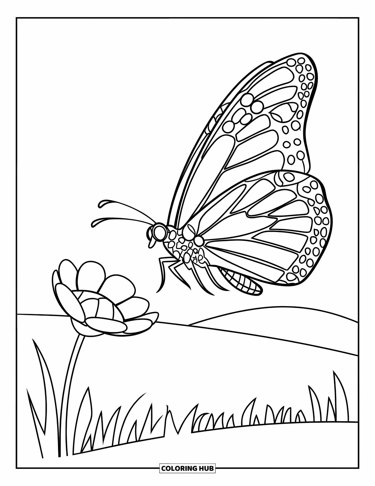 Monarch Butterfly Coloring Page for Kids: A butterfly glides over a hilltop flower in the breeze