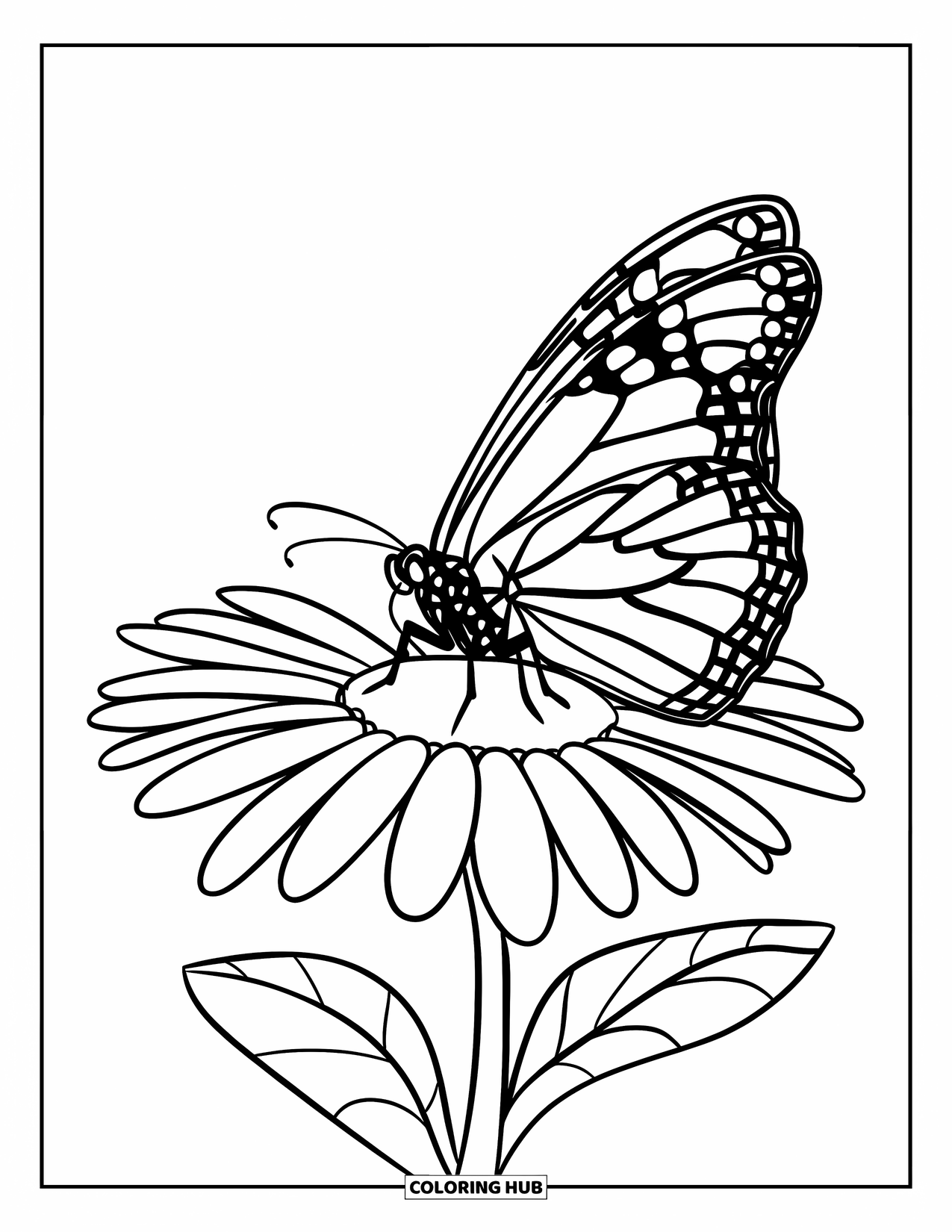 Monarch Butterfly Coloring Page for Kids: A butterfly lands on a simple daisy, calm and still