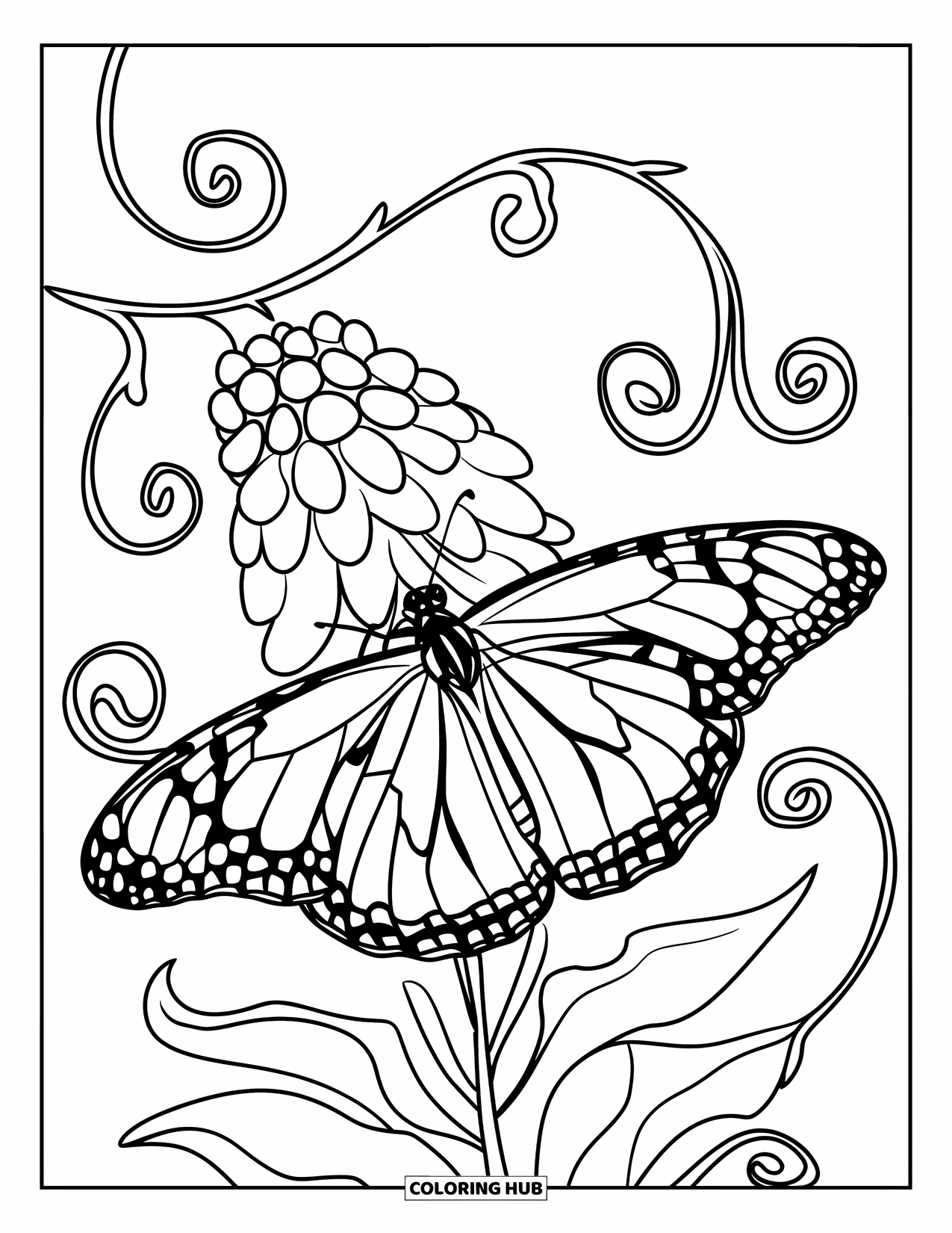 Monarch Butterfly Coloring Page for Kids: A butterfly perches on milkweed surrounded by curly vines