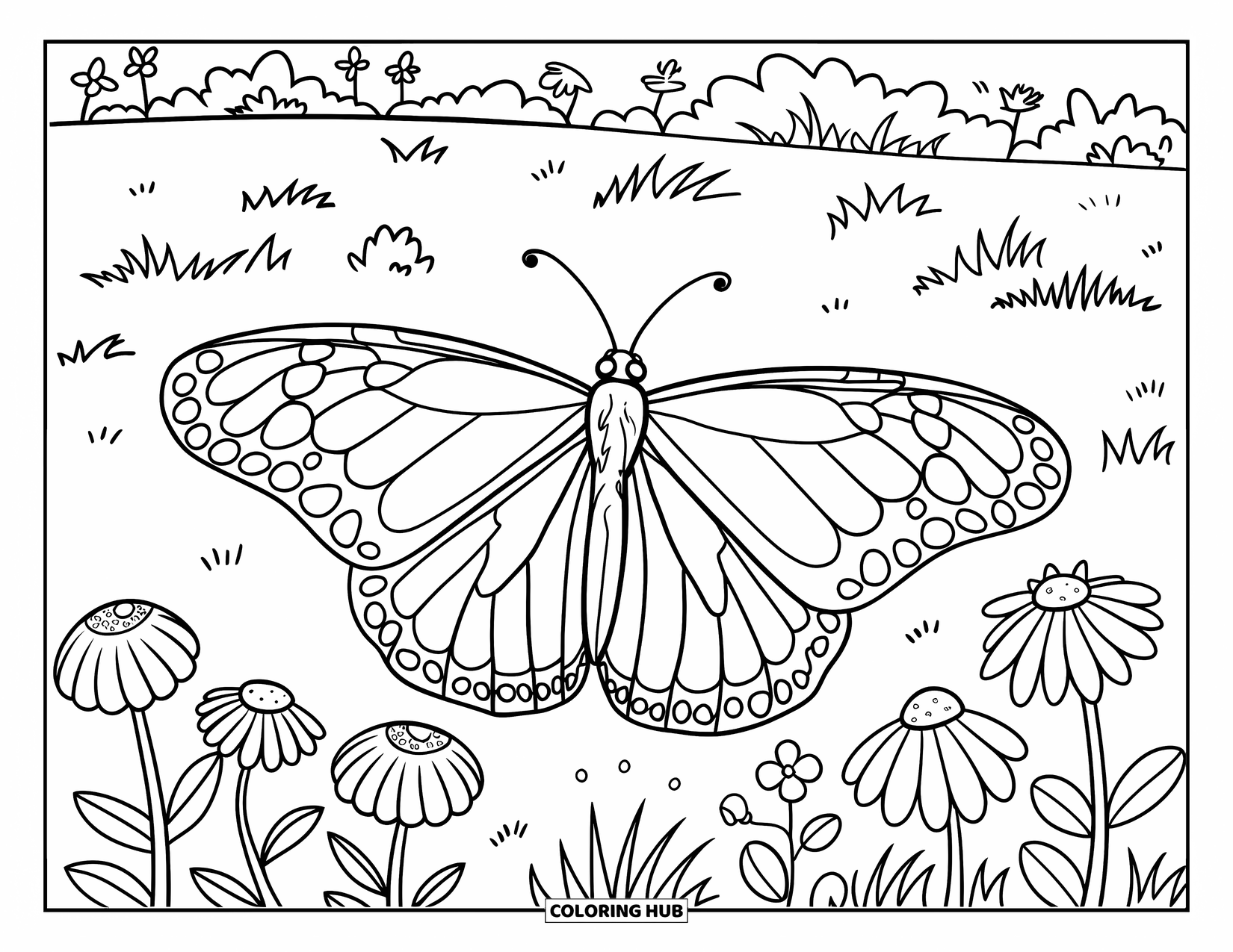 Monarch Butterfly Coloring Page for Kids: A butterfly sits quietly on a bloom in a sunny meadow