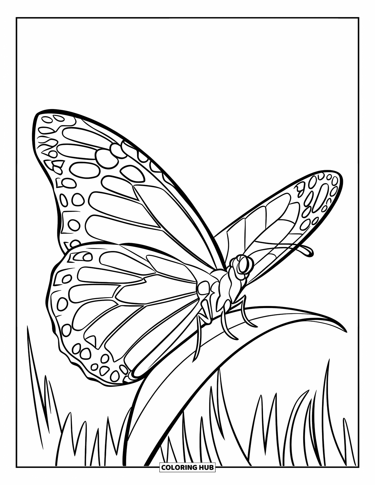 Monarch Butterfly Coloring Page for Kids: A butterfly with big wings sits happily on a leafy perch