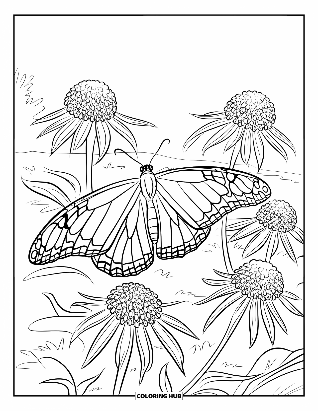 Monarch Butterfly Coloring Page for Kids: A butterfly with wide wings floats over trumpet-shaped milkweed flowers
