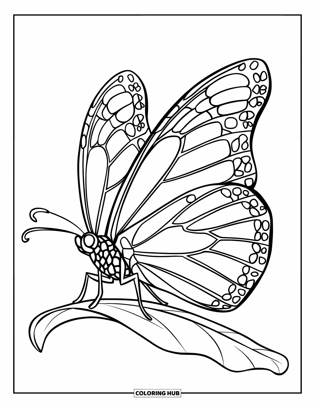 Monarch Butterfly Coloring Page for Kids: A monarch rests on a leaf, calm and still