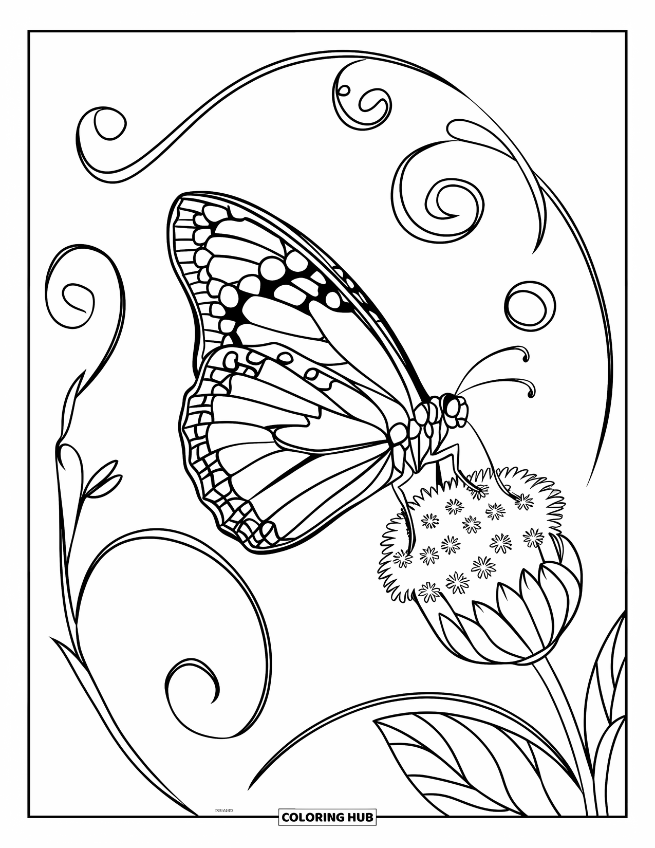 Monarch Butterfly Coloring Page for Kids: A monarch rests on blooming milkweed with curling vines