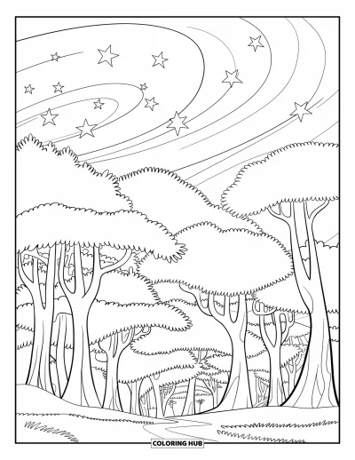 Coloriage du ciel nocturne pour enfants : Un sentier forestier serpente entre de grands arbres sous un ciel tourbillonnant plein d'étoiles