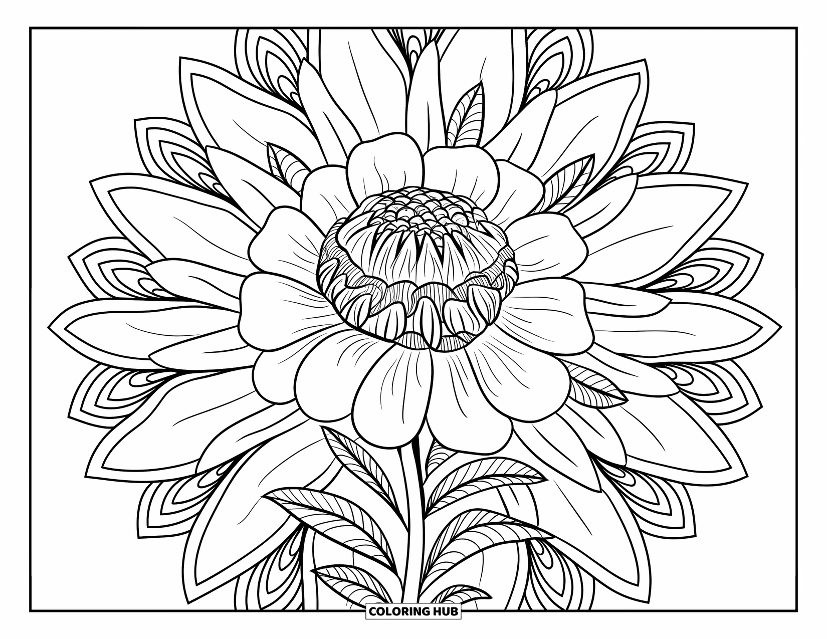 Orange Coloring Page for Adults: A detailed mandala grows from a blooming marigold in the center