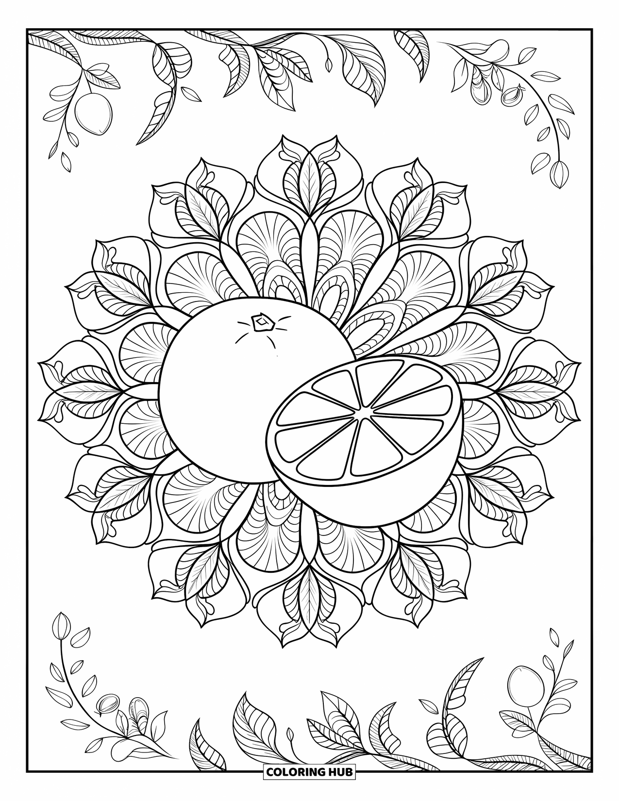 Orange Coloring Page for Adults: Two orange fruits sit in the center of a citrus flower and vine mandala