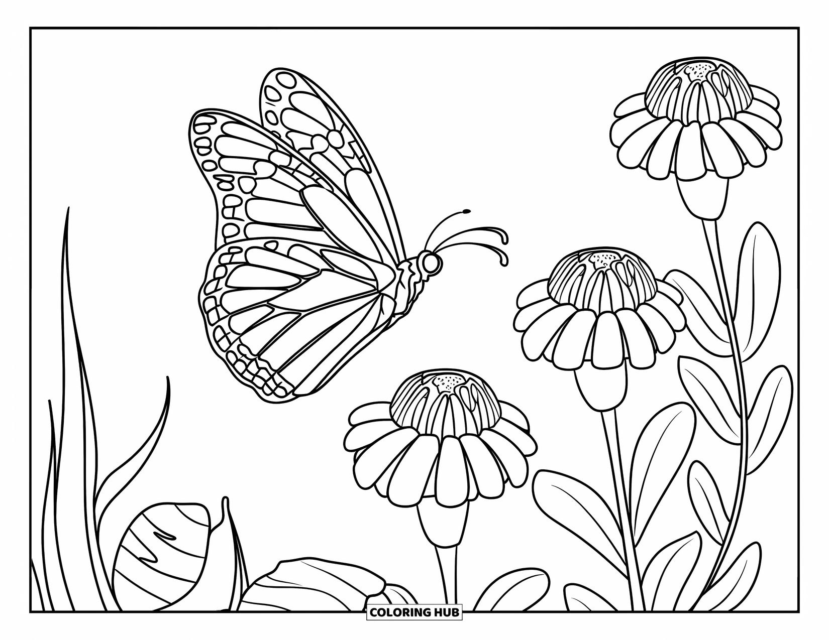 Orange Coloring Page for Kids: A monarch butterfly flies near three blooming marigolds