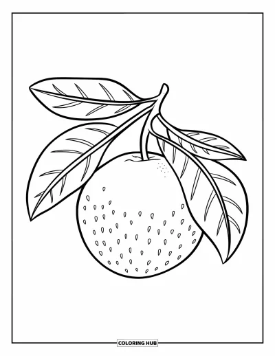Coloriage orange pour enfants : Une orange ronde avec ses feuilles attachées, seule sur une page blanche