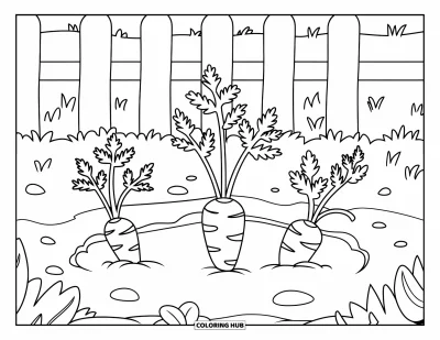 Coloriage orange pour enfants : Un petit champ de carottes pousse derrière une palissade blanche