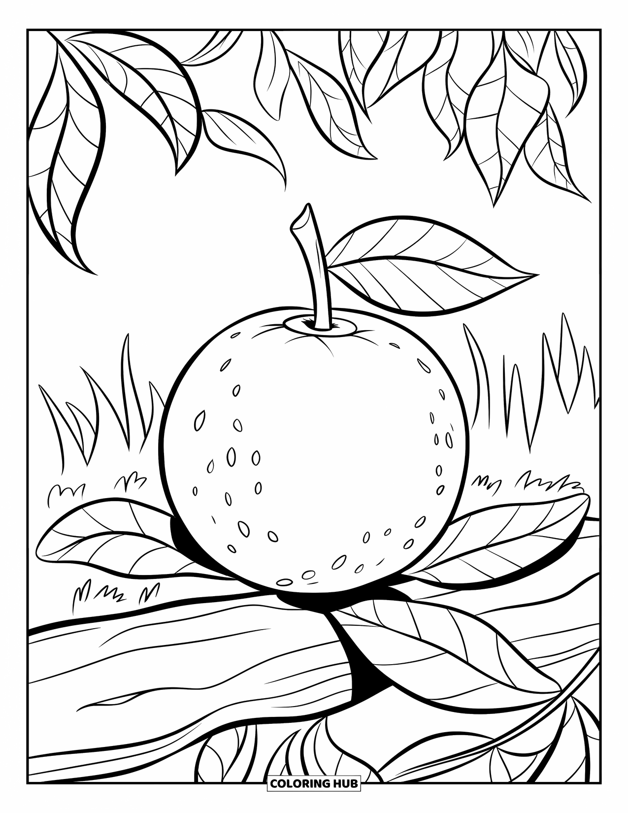 Orange Coloring Page for Kids: An orange with leafy greens rests on a tree stump in an open field