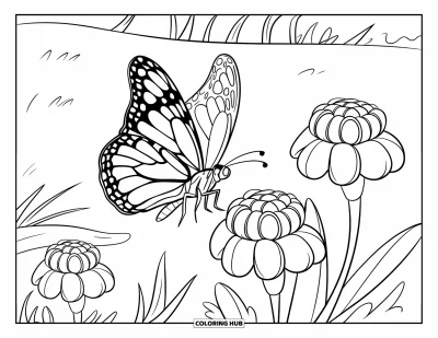 Coloriage orange pour enfants : Des ailes de papillon s'étendent sur des soucis colorés dans un champ ensoleillé