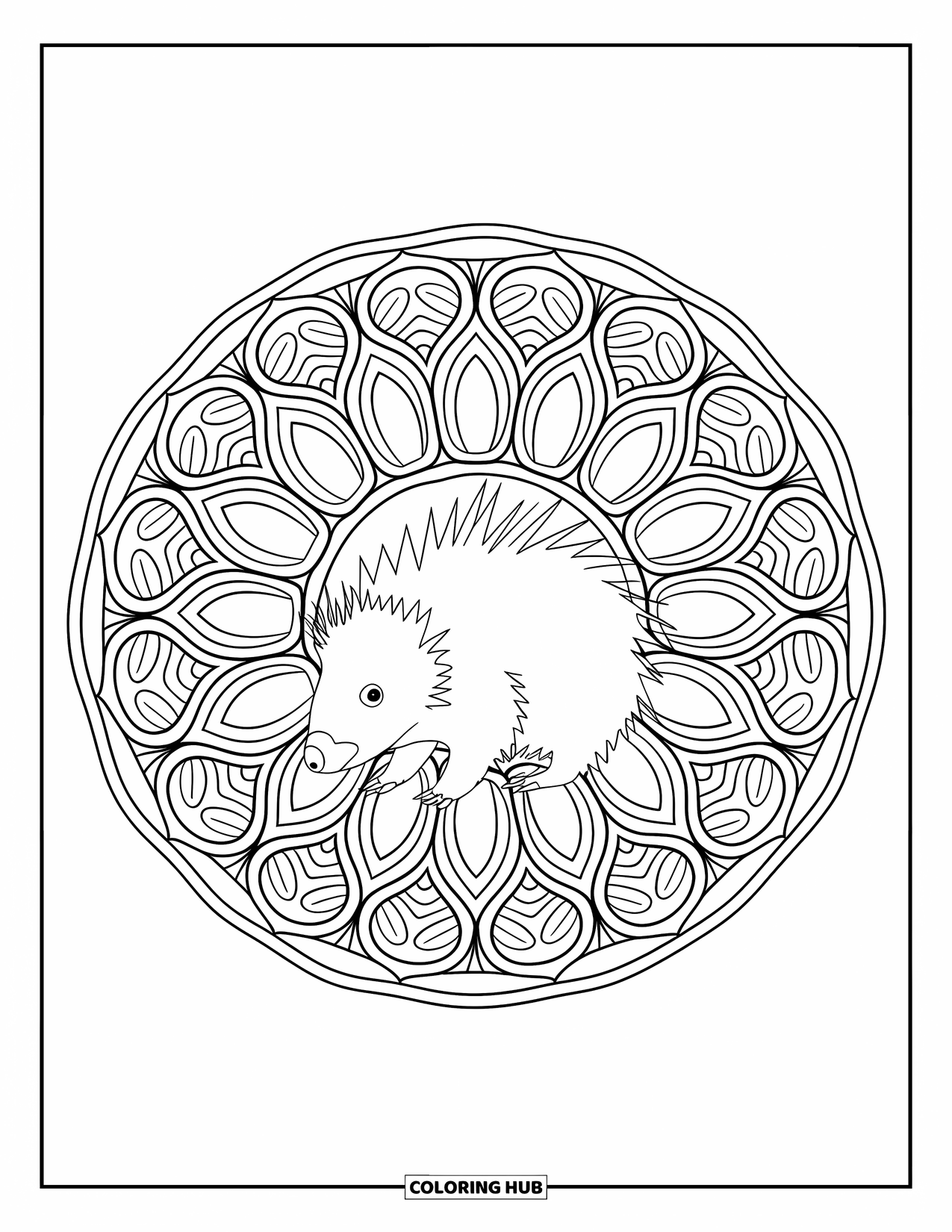Porcupine Coloring Page for Adults: A porcupine stands in the middle of a full-page mandala of forest shapes