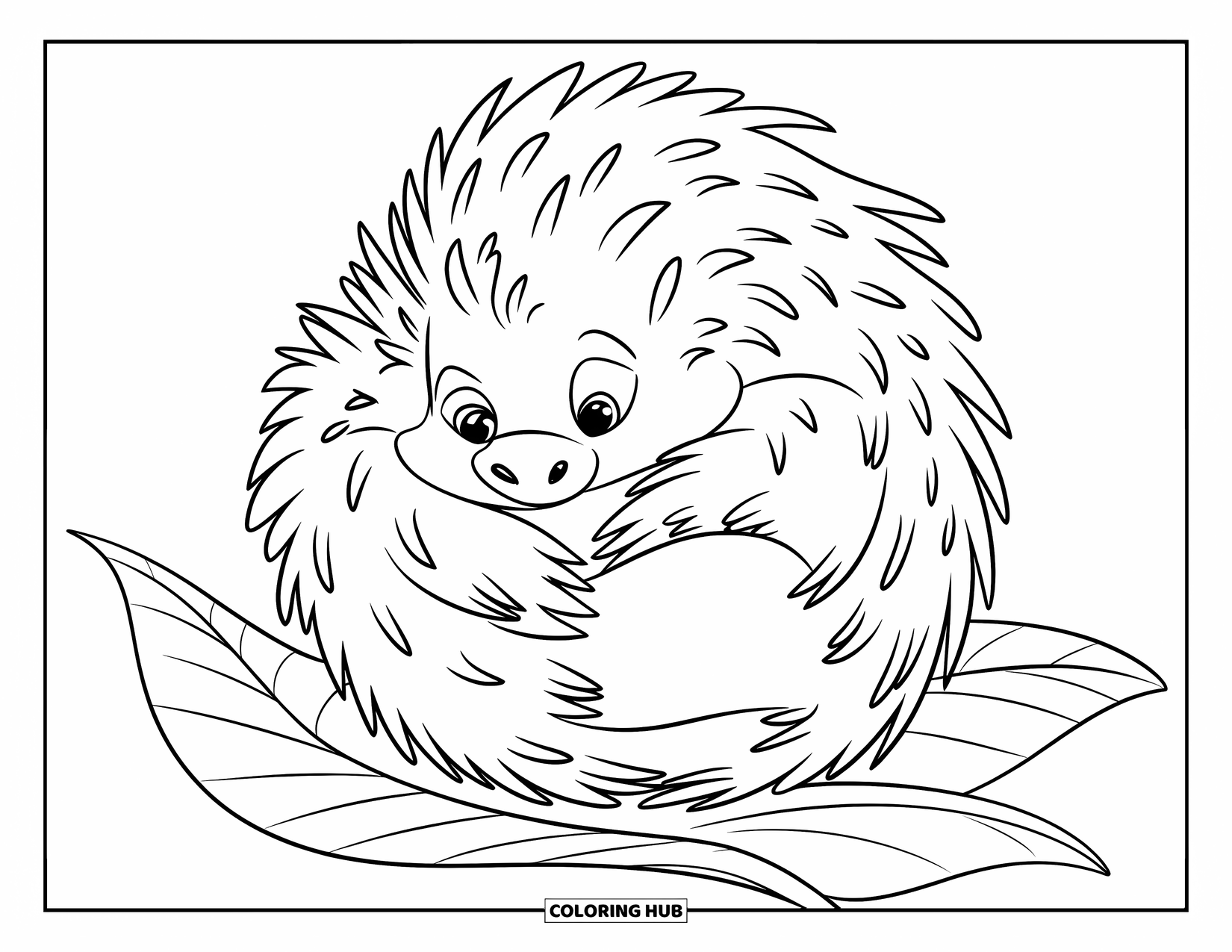 Porcupine Coloring Page for Kids: A chubby porcupine curled into a ball sits calmly on a single leaf