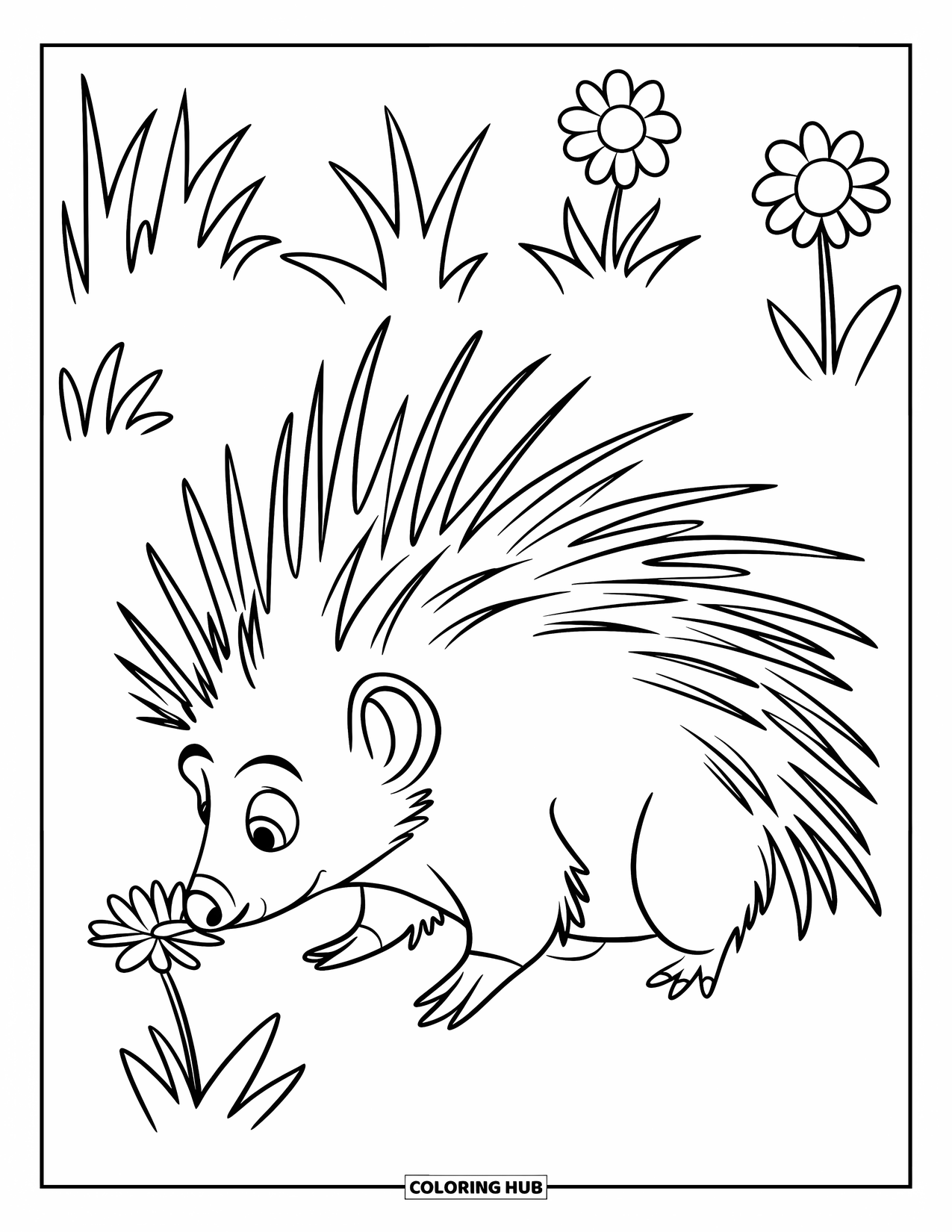 Porcupine Coloring Page for Kids: A porcupine gently sniffs a flower in a quiet, grassy field