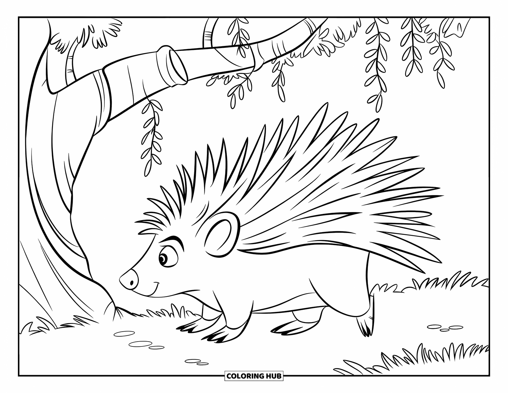 Porcupine Coloring Page for Kids: A porcupine wearing a hat walks past a tree with hanging vines