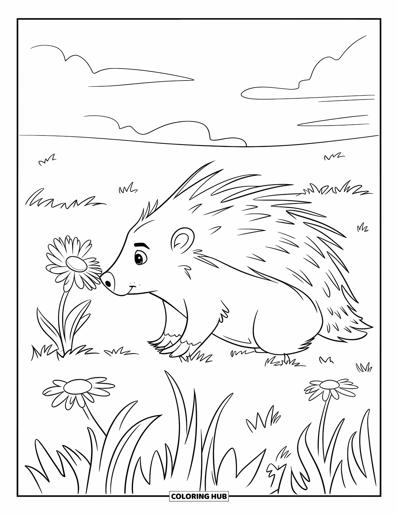 Porcupine Coloring Page for Kids: A round porcupine sniffs a daisy in a field filled with grass and flowers
