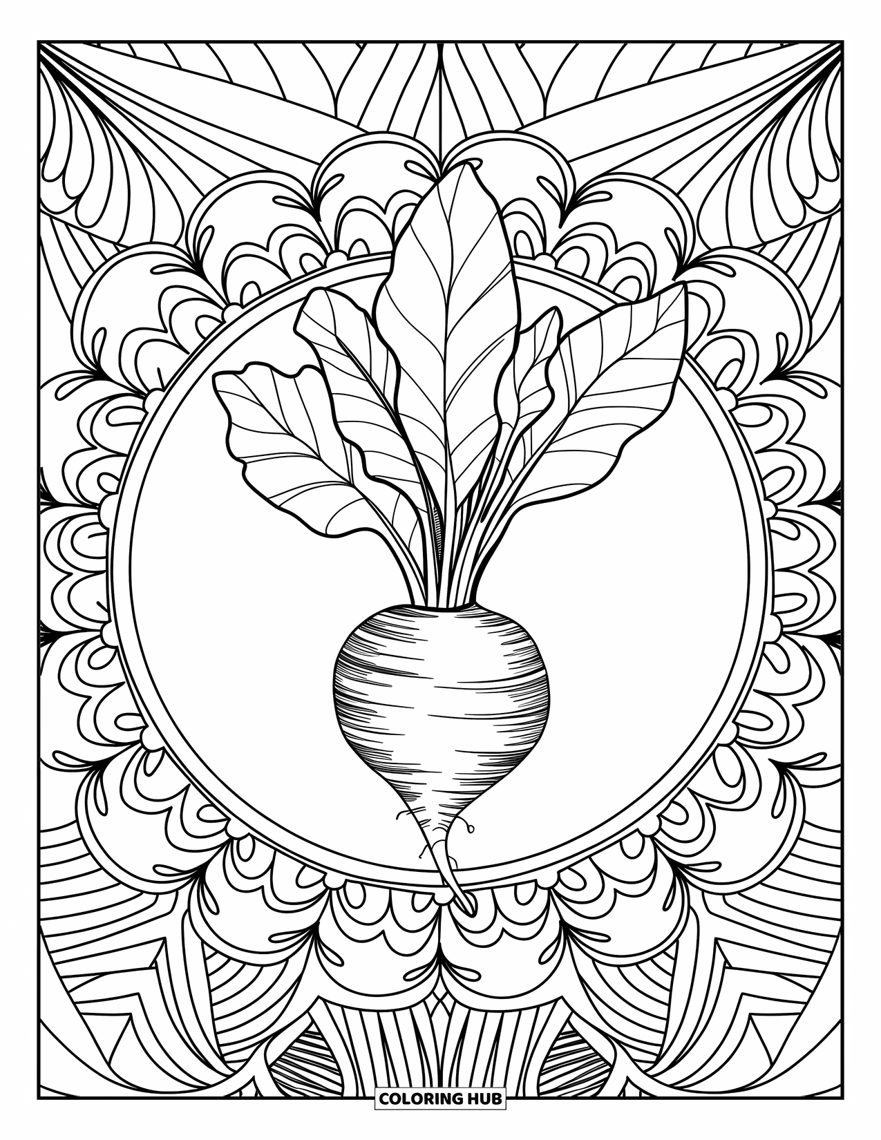 Purple Coloring Page for Adults: Beetroot cluster framed by floral mandala with decorative border