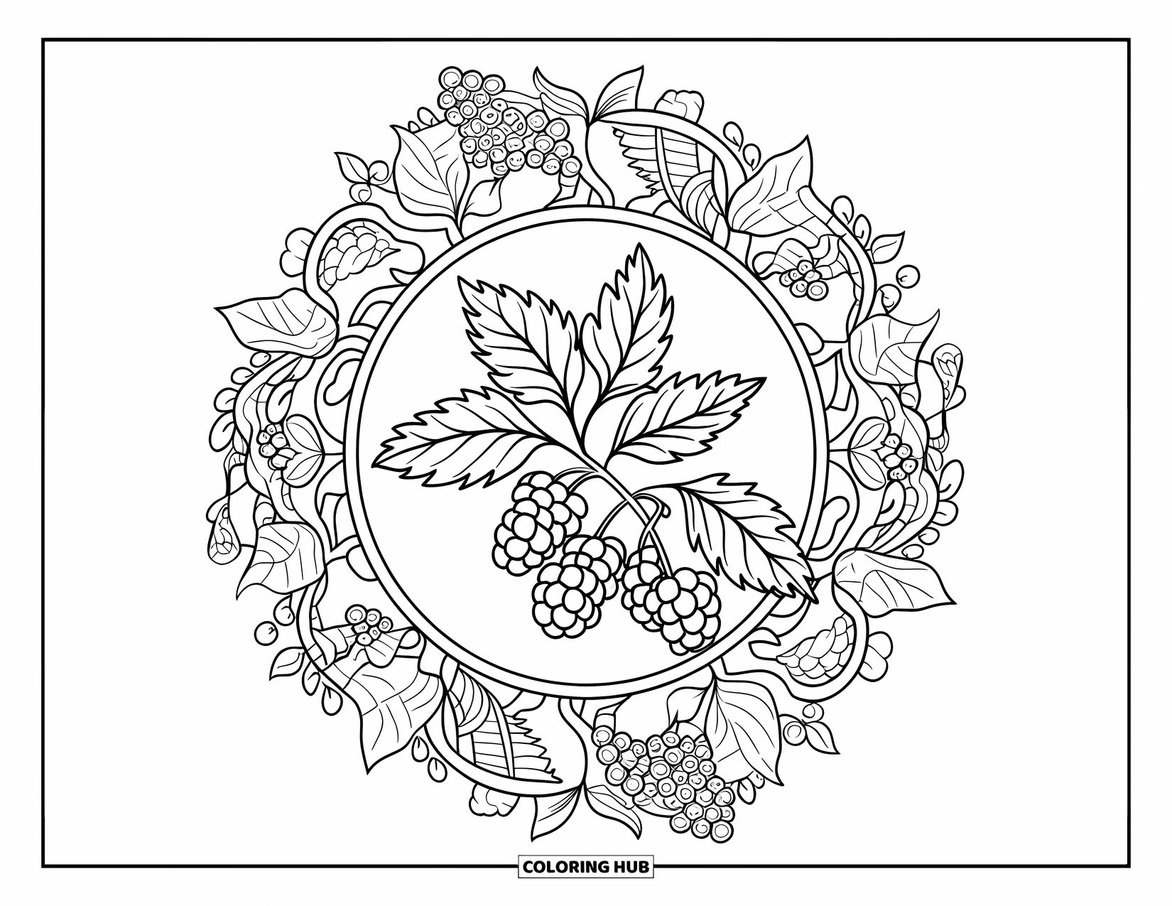 Purple Coloring Page for Adults: Blackberry branch framed by leaves, flowers, and vines in a mandala