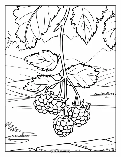 Coloriage de violet pour enfants : Branche de mûres au-dessus d'un muret de pierre avec des collines et un lac en arrière-plan
