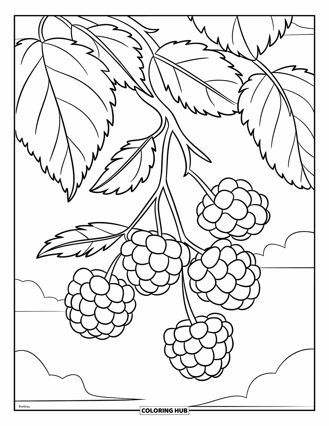 Purple Coloring Page for Kids: Blackberry branch with large leaves and fluffy clouds
