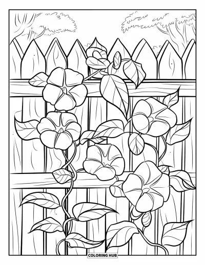 Coloriage de violet pour enfants : Fleurs de volubilis bleu grimpant une clôture en bois avec des arbres