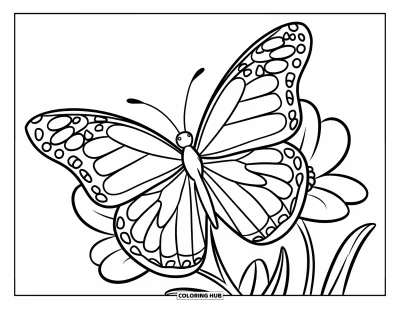 Coloriage de violet pour enfants : Papillon aux grandes ailes posé sur une fleur