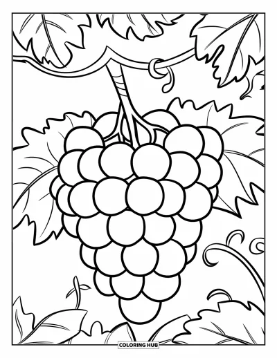 Coloriage de violet pour enfants : Grappes de raisin groupées avec des tiges épaisses et des feuilles simples