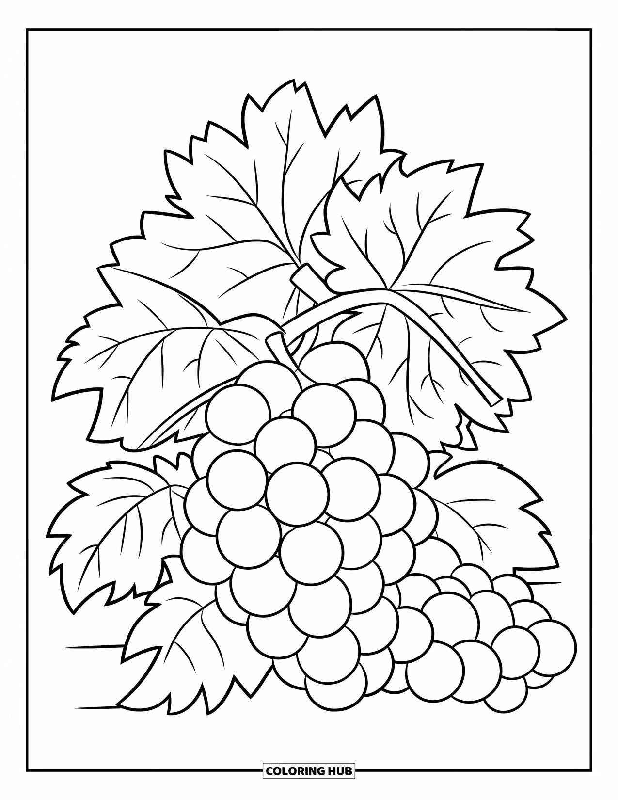 Purple Coloring Page for Kids: Grapes hanging from the vine with leaves nearby