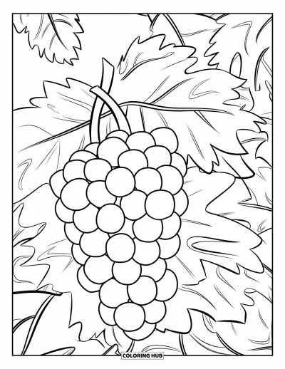 Coloriage de violet pour enfants : Grappes de raisin juteuses avec des tiges épaisses et des feuilles simples