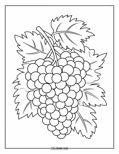 Coloriage de violet pour enfants : Grande grappe de raisin avec des tiges épaisses et des feuilles simples
