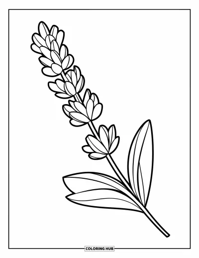 Coloriage de violet pour enfants : Brin de lavande posé sur un bâton en bois