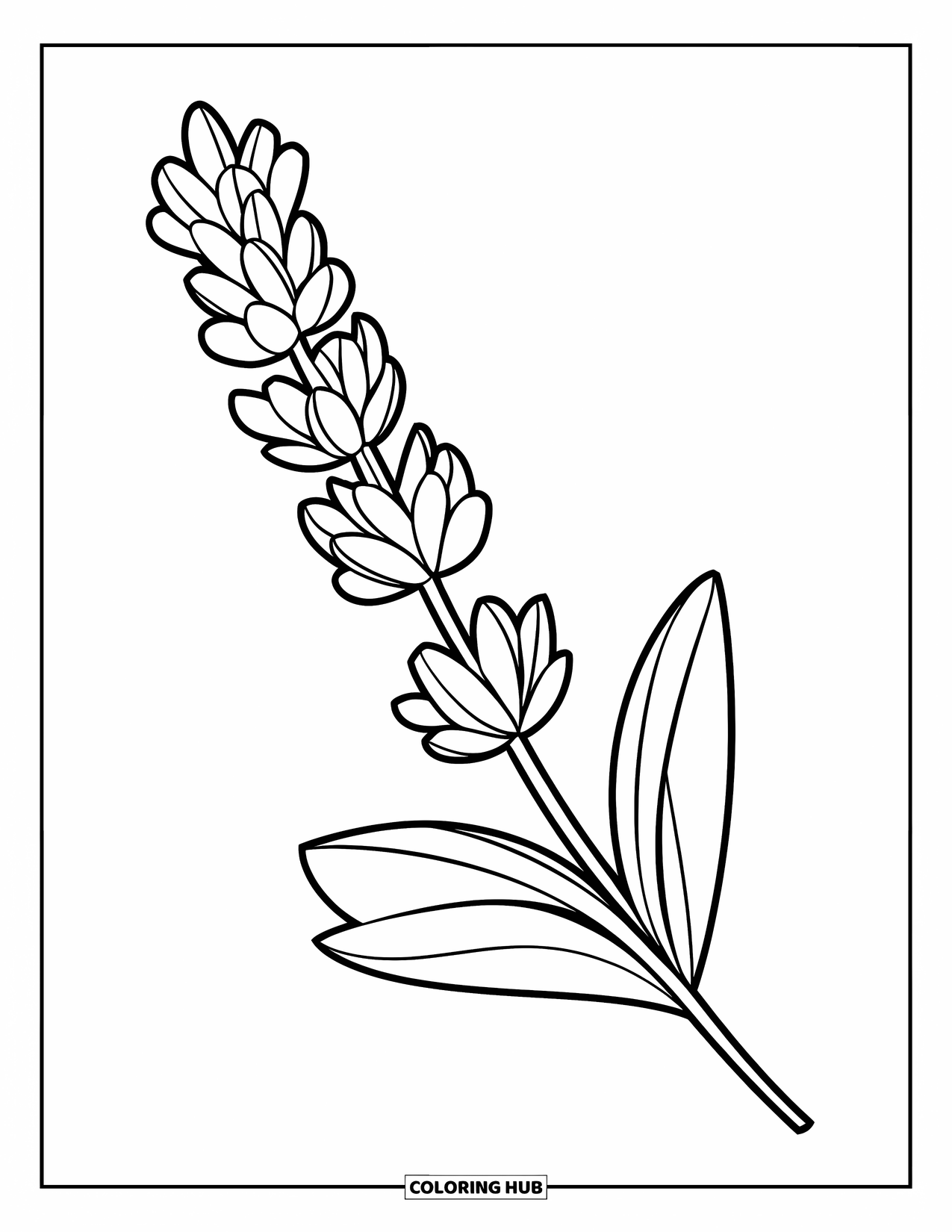 Purple Coloring Page for Kids: Lavender sprig placed on a wooden stick